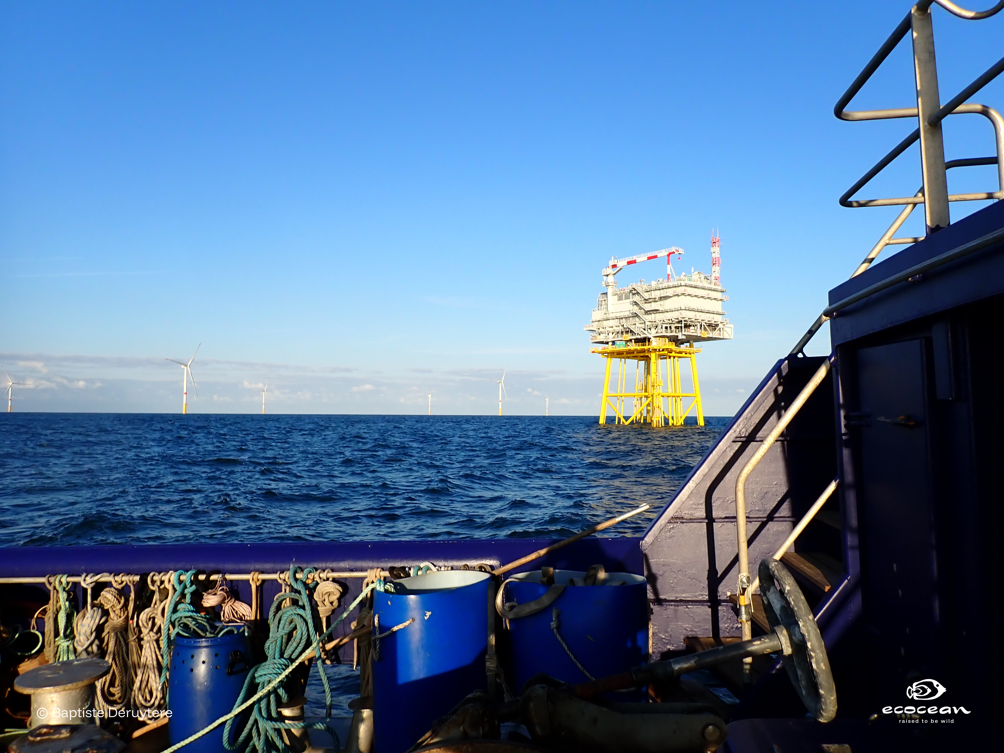 ORLAC EMR – ECOCEAN © Baptiste Deruytere (10) ORLAC EMR – ECOCEAN © Baptiste Deruytere (10)